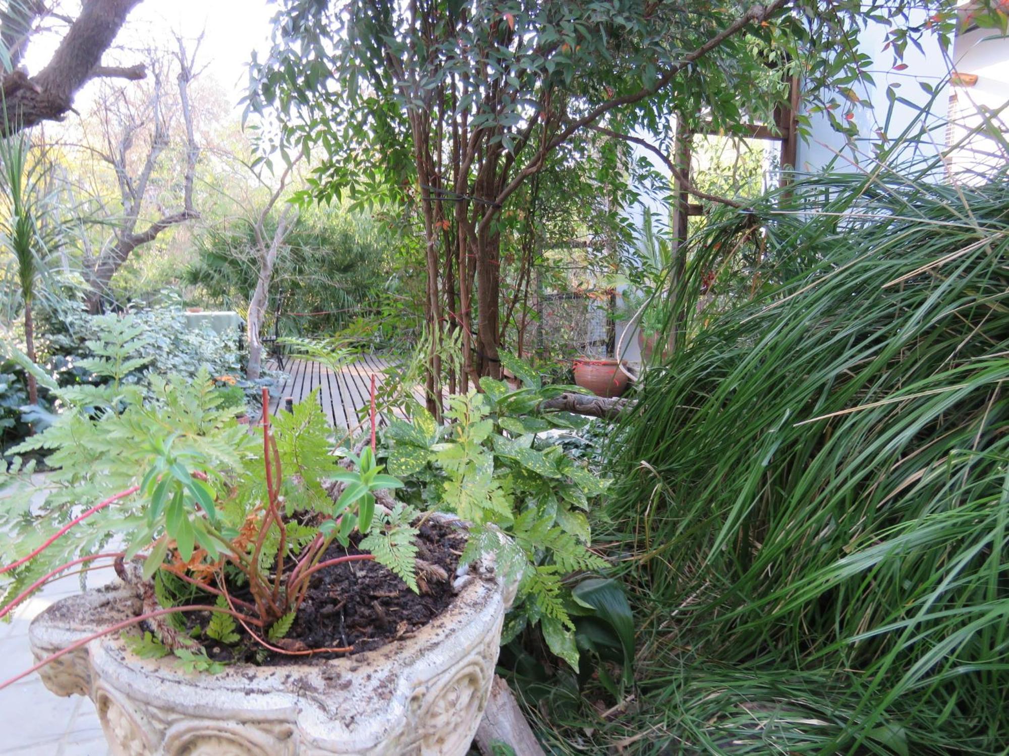 Jedidja Bed And Breakfast Bloemfontein Exterior photo