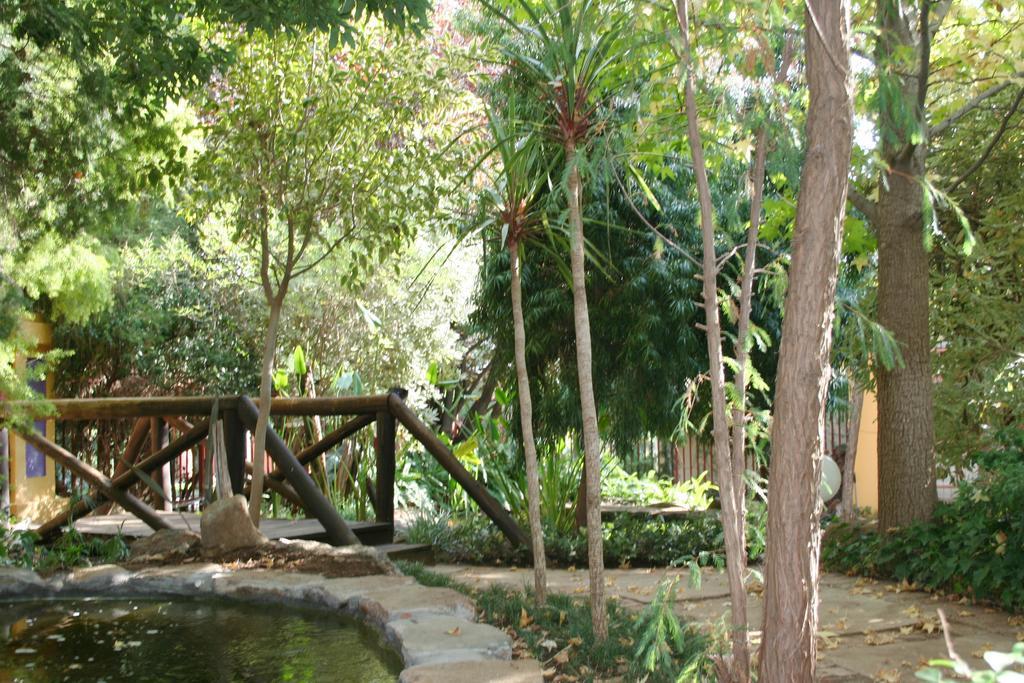 Jedidja Bed And Breakfast Bloemfontein Exterior photo